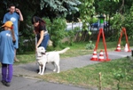 Kraj�ie okolie �NSS aj v�aka dobrovo�n�kom