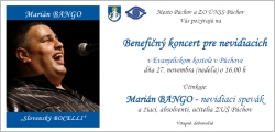 Mari�n Bango, Benefi�n� koncert pre nevidiacich