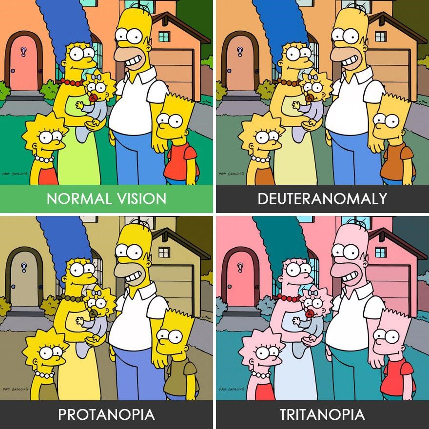 The Simpsons and vision. In the picture on the top left, the Simpsons are depicted as perceived by a healthy eye, on the top right they are depicted as seen by a person with deuteranopia. On the bottom left, you can see the members of this popular family as a patient with protanopia, and on the bottom right as one with tritanopia.