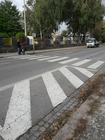 Signalizácia bielou palicou