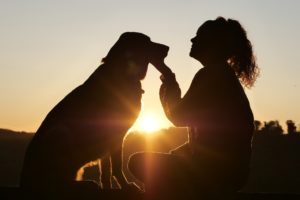 Na obrázku je vo svite zapadajúceho slnka vidno ženu, ktorá drží v ruke tvár svojho psa. 