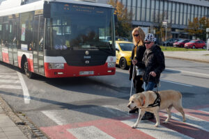 S vodiacim psom cez banskobystrické cesty